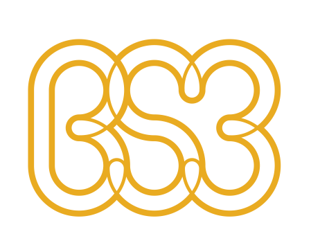 BS3